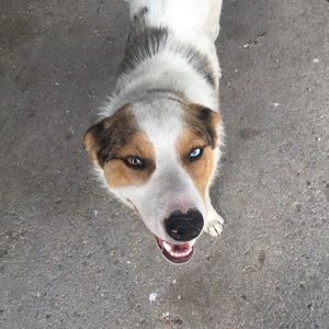 Meet your Posher, Jacob